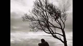 Robert Wyatt : 'The Age of Self'