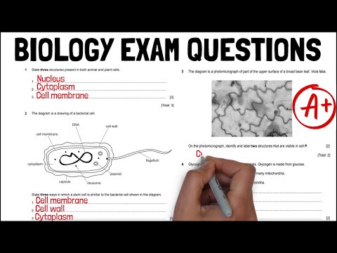 Biology PAST PAPER EXAM QUESTIONS Unit 1 Revision / A* Grade - KS4 Science / IGCSE Biology