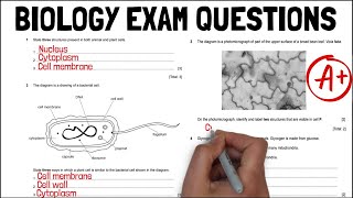 Biology PAST PAPER EXAM QUESTIONS Unit 1 Revision / A* Grade - KS4 Science / IGCSE Biology