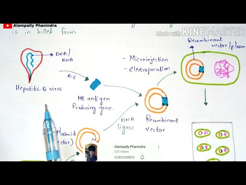 Bt cotton production Bacillus thuringiensis Action of Bt toxin Advantages Cry gene