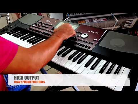 KORG PA700 PA1000 PA4X NEW INDIAN TONES