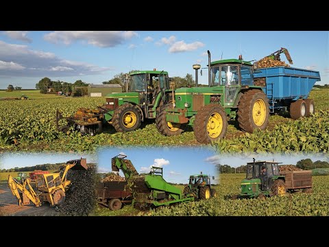 Classic sugar beet harvesting with Standen Turbobeet Mk3 John Deere 6400, 6420S, 3140, 2040 and 1140