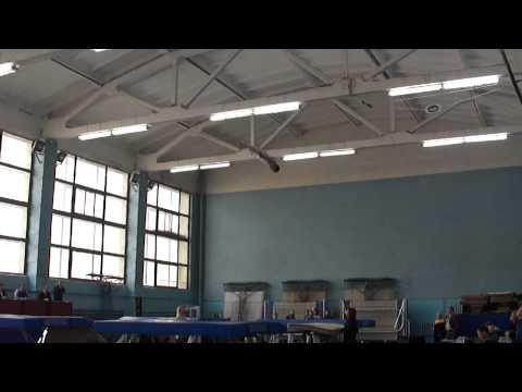 Александр Сатин