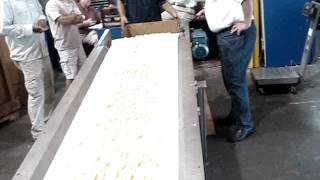 High Capacity Popcorn Feeder