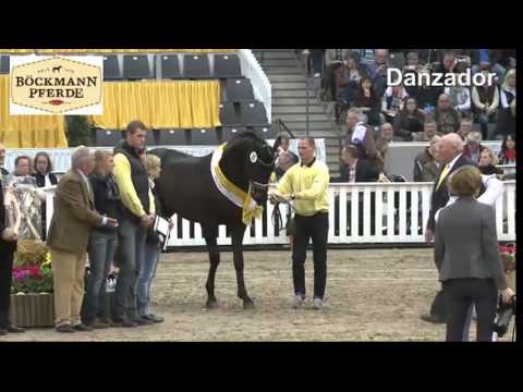 Danzador v. Diamond Hit x Lauries Crusador xx