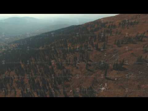 Aerial: Landscape with forest and mountains in Siberia Shoria