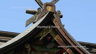 春の妙義神社