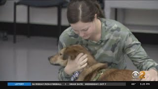 Long Island Organization Helps Reunite Soldier With Dog She Met While Stationed Overseas