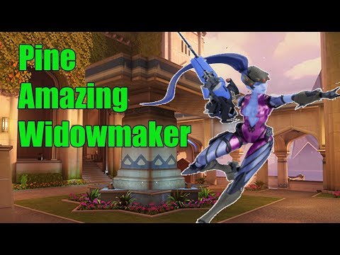 Pine Amazing Widow - Pro Overwatch Placements Season 16
