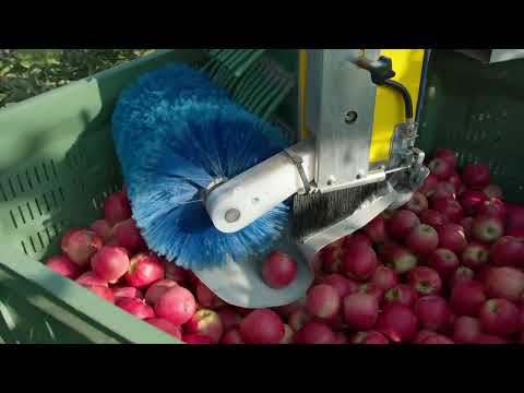 Fruit Picker in action