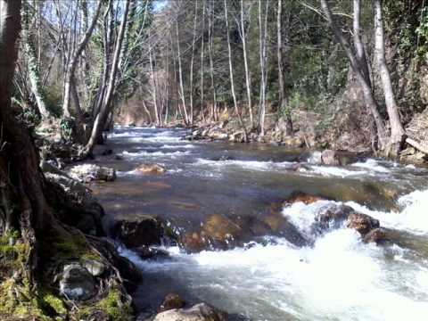 Line Up The Stars IVYRISE feat  Dania GIÒ Tmwk13 Mix