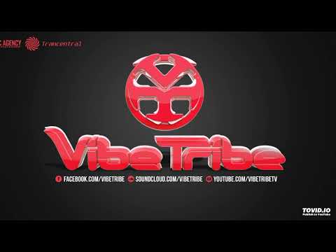 Vibe Tribe Full On Compilation by 4Nooby