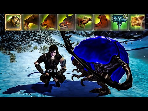 Builds Explained - Ranger/Any Beastmaster [Guild Wars]