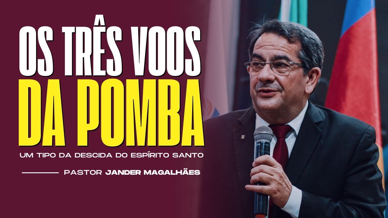 "0S TRÊS VOOS DA POMBA!"  Uma impactante mensagem sobre a pomba que Noé soltou pela janela da Arca.