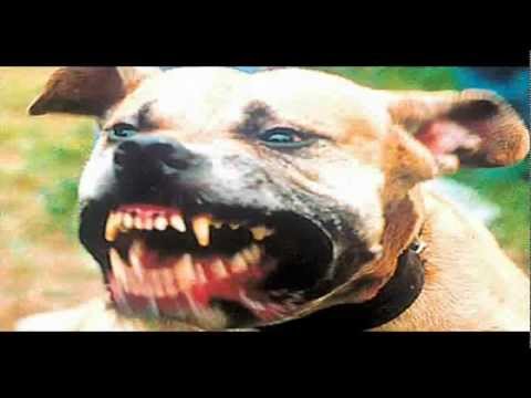 Scenu Kidam Kao Staford By McRestlesS 2012 (Produce Adi Killa)