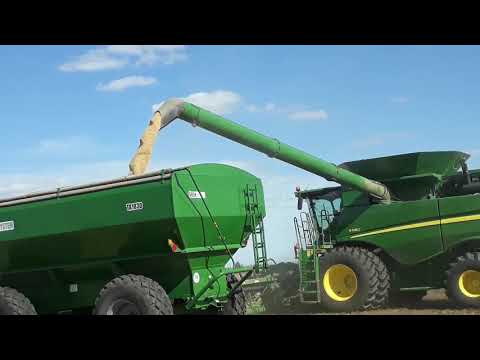 Cosecha 2019 soja General Baldissera