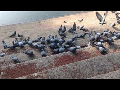 Syanki kere at Bangalore with Shriyanka and Abhilash.