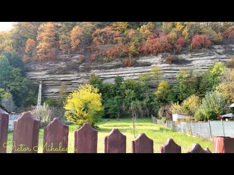 Bezdead - Raiul pogorât pe pământ