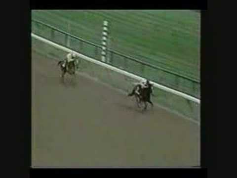 Go For Wand: An Eternal Champion!