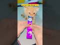 My Kitten Goes Crazy for Creamy Treat! 😻🐾 | Leo the Fluff