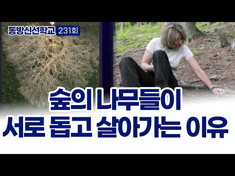 기초(숨) 수행과정