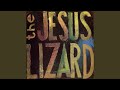 Lady Shoes (Live)