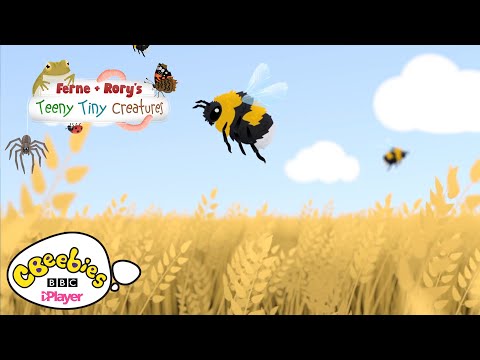Facts about Bumblebees ? | Ferne & Rory's Teeny Tiny Creatures | CBeebies