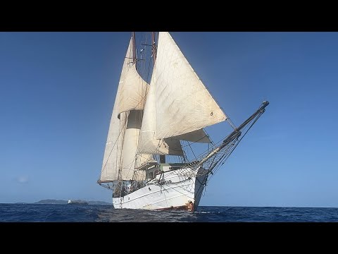 Brigantine Neptun: The Journey So Far 2025