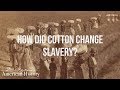 How did cotton change slavery? | American History Homeschool Curriculum