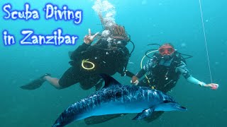 SCUBA DIVING ZANZIBAR | Giant Tortoise | Sea marines |Stone town tour PT 2