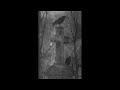ROBYN HITCHCOCK AND THE EGYPTIANS - THE BLACK CROW KNOWS