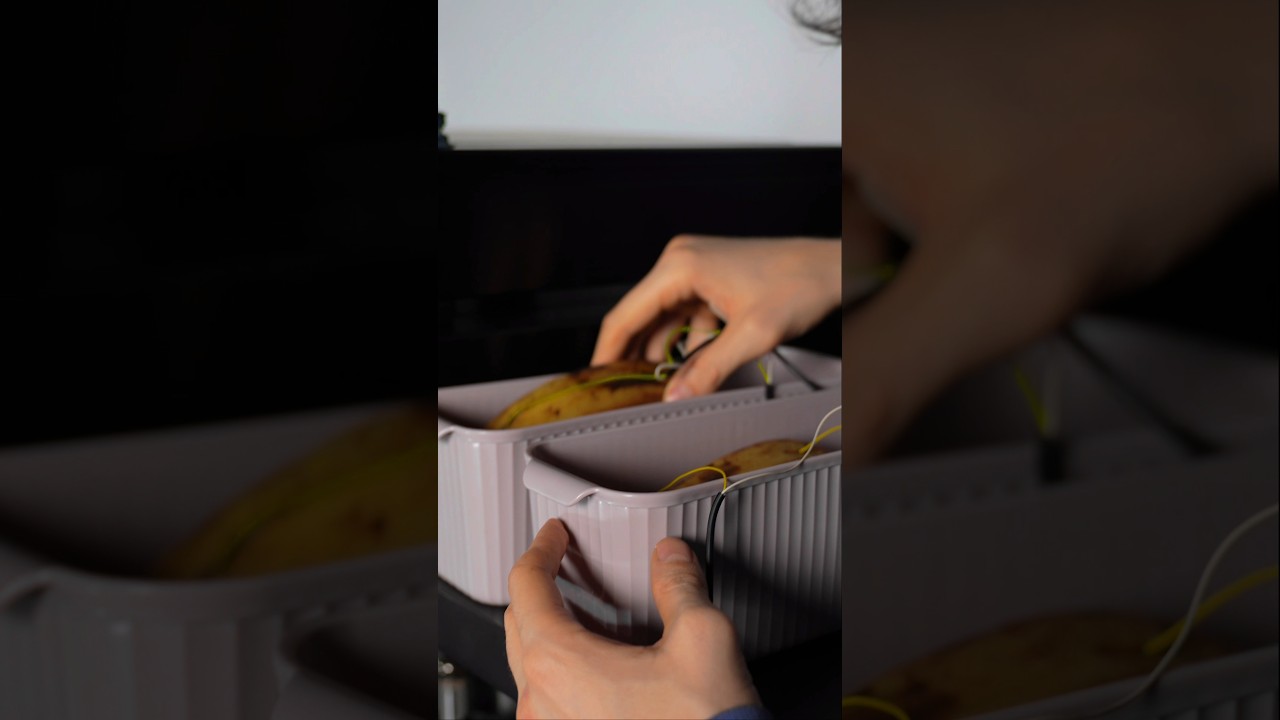 Hi end кабель из серебра за 250.000р или банан за 50₽?