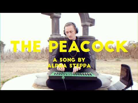Alpha Steppa - The Peacock (Live Dub Mix) #streetdub E58 [Steppas Records]