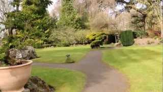 Japanese Gardens, Kildare, Ireland