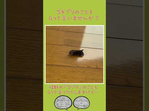 薬学科 なぞの虫