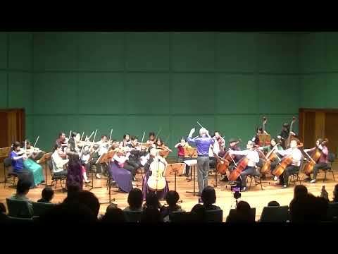 Gaetano Donizetti: Concertino in D minor for violin, cello and orchestra