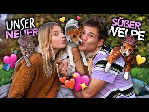 2 GESCHWISTER KLEIDEN IHREN WELPEN EIN mit Babykatze | Joey's Jungle