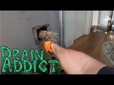 Blocked Drain 546 ( WARNING! Flashing bathroom light in video may cause a seizure)