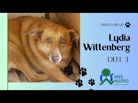 𝑫𝒊𝒆𝒓𝒆𝒏𝒗𝒓𝒊𝒆𝒏𝒅 𝑳𝒚𝒅𝒊𝒂 𝑾𝒊𝒕𝒕𝒆𝒏𝒃𝒆𝒓𝒈 𝑫𝒆𝒆𝒍 3