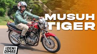 Download lagu PILIH SCORPIO APA TIGER⁉️ Penerus RX-King & Penantang Honda Tiger, Ini Yamaha Scorpio 225 mp3