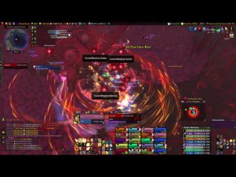 Emerald nightmare - Il'gynoth mythic - Holy Paladin