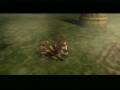Zelda Twilight Princess Miniboss 1 Ook No Damage