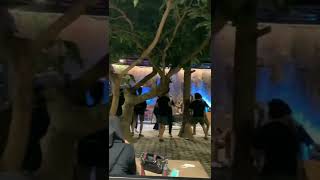 Download lagu Cafe Kaula Muda | Malam Minggu Nongkrong Cafe #storywa #story #shorts #malamminggu #cafe #cafemusic mp3