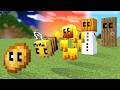 Minecraft But You Can Evolve Into ANYTHING