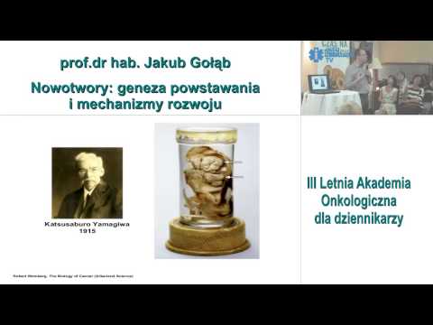 Wykład prof Jakuba Gołąba podczas Letniej Akademii Onkologicznej dla dziennikarzy 2013