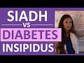 SIADH vs Diabetes Insipidus DI | Endocrine System Nursing NCLEX