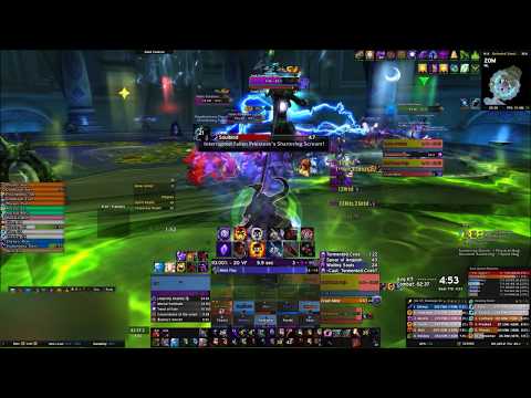 Everlasting Syndicate - Mythic Desolate Host (1st Kill) (Shadow Priest PoV)