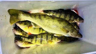EARLY Spring Mississippi River Walleye and Sauger Fishing!