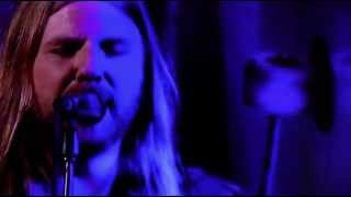 Steve Hill - Love got us blind