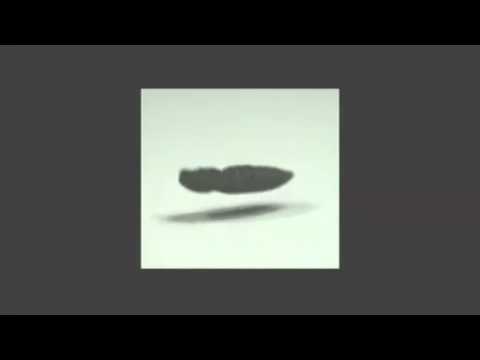 コメツキムシのジャンプ